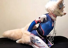 Remi x D.Va Hogtied and Vibed two