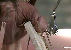 Dia Zerva & January Seraph & Martin Lorenzo in Metamorphosis: 1 Cum Thieves - DivineBitches