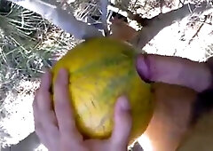 outdoor fun with melon 2