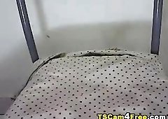 Huge Cock CDJerking Off