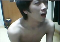 한국 korea korean cam 290