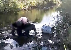 Dark Everglades swamp mud