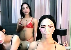 Shemale tranny enjoying solo masturbation