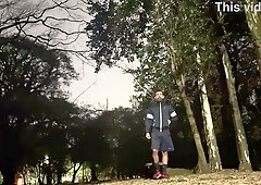 A Night Flashing Off at the Park - Trailer