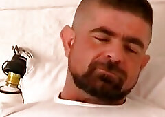 Bears In A Cozy Jail Acquire truly Cozy With Each Others Large penises