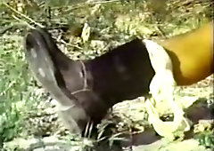 Big Hairy Office Fuck