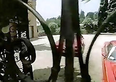 Transsexual Pleasure