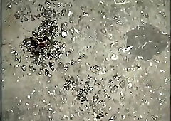 Luscious Gay Dudes Protected Banging