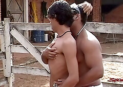 Big cock gay, hand job, gay love