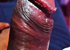 Pakistani viral nymph Hookup flick Throating phat cook pecker Demonstrating stash camera