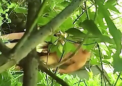 Hooker Gives Wild BJ and Sex in the Woods