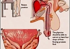 Sissy pussy  pink secret