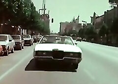 Starring: Chick Wilder, Bunny Bleu, Deidra Hopkins, Helga Sven, Kristara Barrington, Melanie Scott, Eric Edwards, Hershel Savage, Paul Thomas, Randy W