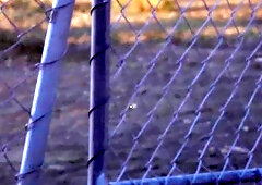 SeanCody: Archie together with Sean throat fucking in the bed