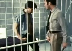 Falcon Studios: From Top to Bottom: Legendary Falcons