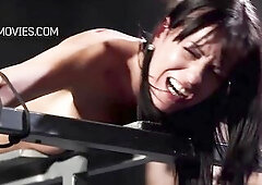 Brunette Hair playgirl is fixed to platform and being whipped by a mastix and screams out.