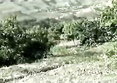 A Discharged In The Throat [full movie] features glamorous bitches sucking large hard jocks and taking creamy discharged of sexy cum in their throats 