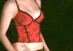 A Beautiful Evening With Crazy Sex Through Car Window