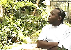 Lalin girl Sells Her Concupiscent Can but Then After the Fellatio?