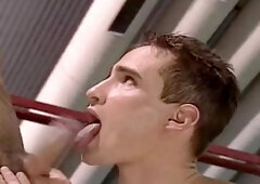 Falcon Studios: Navigating through oceans of flesh