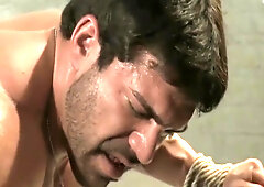 Don't Ask, Don't Tell