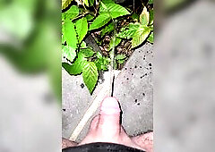 Pissing On The Plant three 《4k》