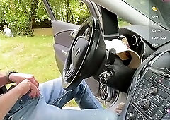 A Sunny Car Encounter