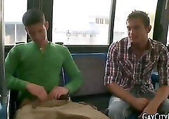 Straighty sucking bbc