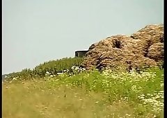 Horny Foursome Outdoor Banging