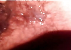 Straight Stud  Vietnam