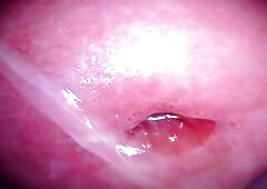 Camera in Cunt cumming, cervix palpitating, climax contractions, gfe raw talk, bts - My Muse Part 5