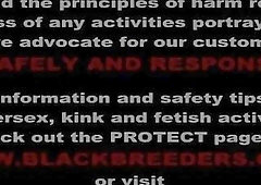 Black guys are breeding each other's asses