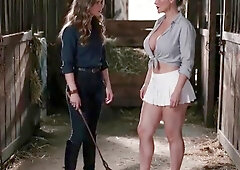 Mare Instructing. (AI generated) Cougar is taught