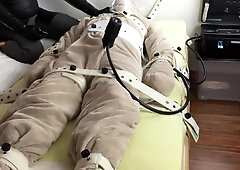 How to milk a plush bear