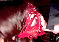 Ashley Lane Suffers BDSM Initiation