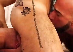 hairy males threesome