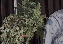 Le Migliori Produzioni Porno Italiane di sempre!!