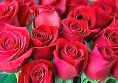 Mature Bangladeshi stud Desi Mazaa shows off his big ass in a gay scene