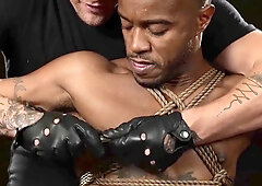 Bj's, the house, oral pleasure