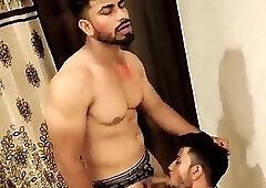 DESI HUNKS CUDDLE AND PLAY TOGETHER