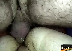 Older bear gets facial