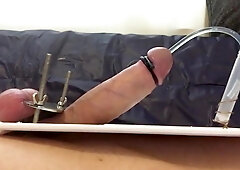 E-stim Orgasm Cum Collection Urethra Tubing 0:24 6