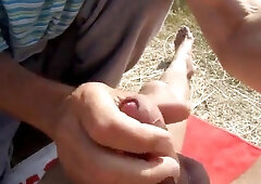 Old Man Blows Friend on Beach