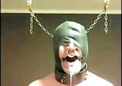 Gay train, oral pleasure, oral job