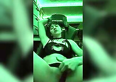 Cat hunk strokes his twat