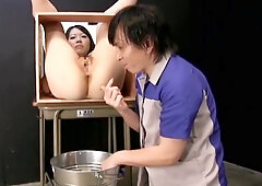 Natural Production Plants Female Flight Principle