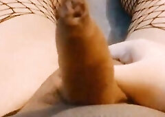POV: Femboy in Gothic Fishnets Edges & Crushes her trans sweethearts haunches, girlcock and balls - Tgirl masturbation