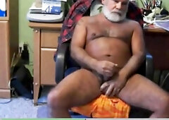 Silver dad grizzly tugging his adorable salami