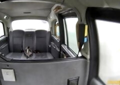 Tara wanted a ride to Tamworth, but she confessed she didn't have enough cash to make it all the way. The sexy MILF asked if she could show me so