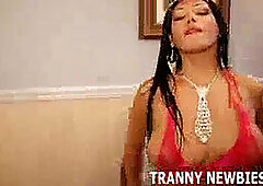 Transsexual, hardcore